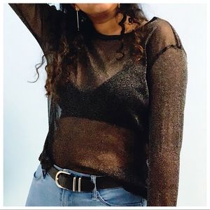 Shimmery Sheer Long Sleeve Top